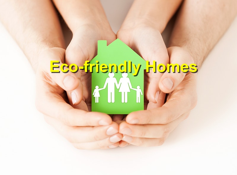 Read more about the article Creating Eco-Friendly Homes