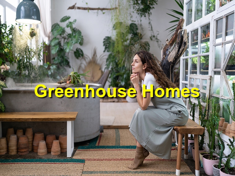 Read more about the article The Benefits of Building a Home with a Greenhouse