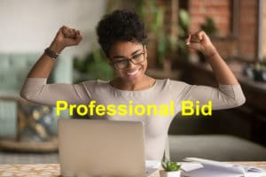 Read more about the article What Does a Winning Professional Bid Entail?