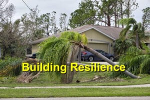 Read more about the article Tips for Building Resilient Homes