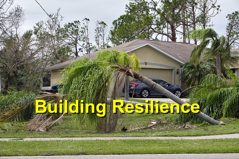 You are currently viewing Tips for Building Resilient Homes
